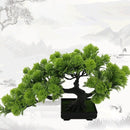 Artificial Bonsai Pine Tree – Decorative Potted Plant for Home & Office